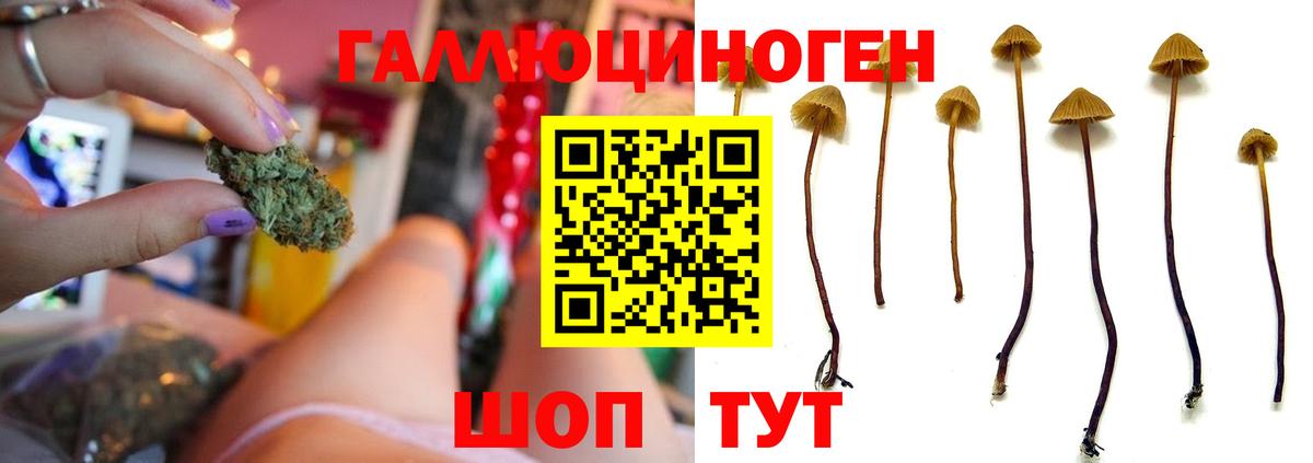 Псилоцибиновые грибы Magic Shrooms Дедовск
